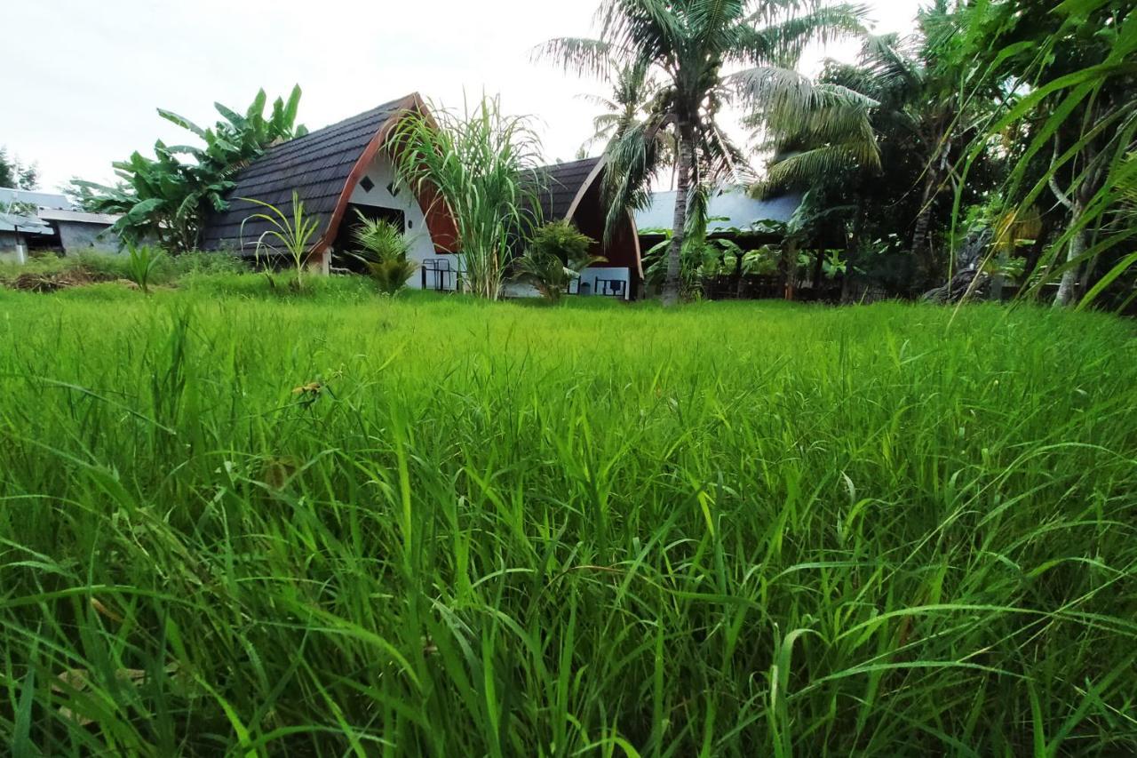 Hotel Coconut Gili Meno Exterior foto