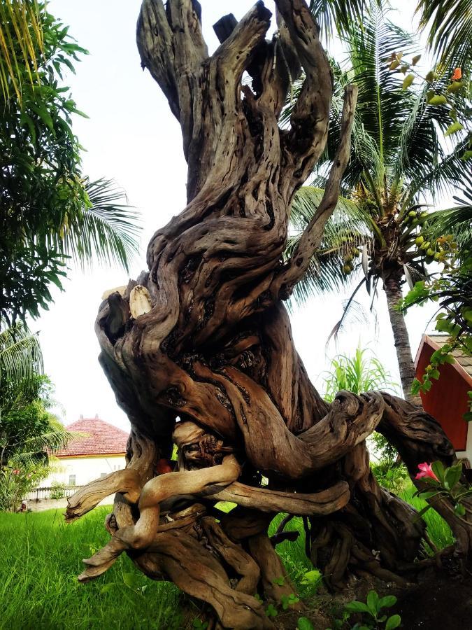 Hotel Coconut Gili Meno Exterior foto